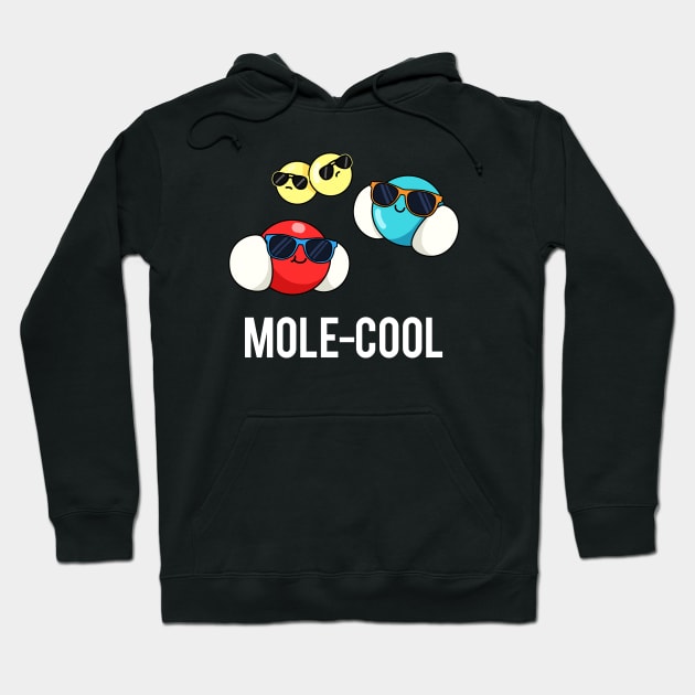 Molecool Cute Molecule Science Pun Hoodie by punnybone